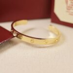 النسخة الأساسية للاكسسوارات